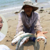 Sự cố môi trường Formosa: Hàng loạt cán bộ chủ chốt ở Hà Tĩnh bị kỷ luật