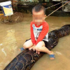Vụ bé trai 3 tuổi cưỡi trăn 50kg ở Thanh Hóa: Xử phạt hành chính