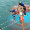 Tàu cá Quảng Ngãi bị chìm ở vùng biển Cù Lao Chàm