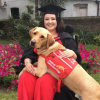 Chú chó nhận bằng tốt nghiệp đại học