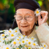 Bộ ảnh bà ngoại 99 tuổi bên cúc họa mi khiến nhiều người trầm trồ