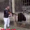 Du khách Trung Quốc giết gấu bằng súng máy