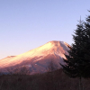 Rừng ma dưới chân Fuji san