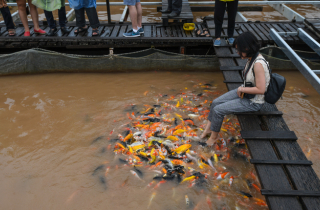 Hòn đảo nơi người dân tự thiết kế tour cho khách