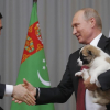 Những lãnh đạo thế giới từng tặng chó quý cho Putin