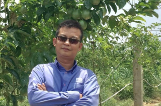 Kiếm tiền tỷ nhờ trồng 4ha chanh dây xen lẫn gừng