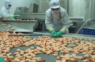 Doanh nghiệp đòi tự chịu trách nhiệm ATTP: Không nóng vội được...
