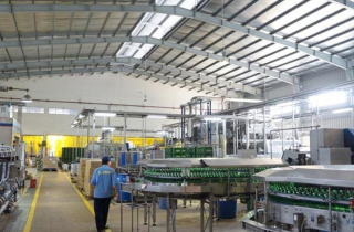 Sau soát xét, Sabeco báo cáo tài chính tăng gần 142 tỉ đồng