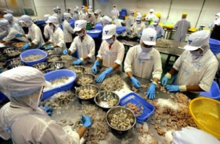 Nhiều hàng Việt bị loại khỏi Mỹ: Lại thiệt vì Trung Quốc?