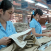 Bộ trưởng Đào Ngọc Dung: Báo động việc sa thải lao động nữ trên 35 tuổi