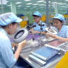 ADB chỉ nghịch lý thuế ở Việt Nam: Thế lưỡng nan