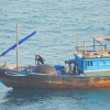 Đà Nẵng: Điều tra vụ 3 cha con nổ mìn, tận diệt thủy sản ở vùng vịnh