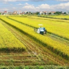 Hưng Yên bổ sung hơn 12 tỷ đồng bảo vệ và phát triển đất lúa, màu