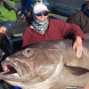 Cụ bà 68 tuổi câu được cá \'quái vật\' gần 130 kg