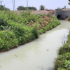 Vụ nước thải tuôn ra kênh ở Đà Nẵng: Đề xuất xử lý 2 công ty xả thải