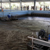 Xử lý nước thải cho hàng vạn hộ dân trước khi đổ ra sông Đồng Nai
