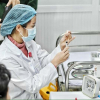 Bắt đầu tiêm mũi 2 vaccine Covid-19 Việt Nam