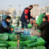 Giá thực phẩm tại Trung Quốc tăng vọt trước Tết