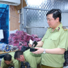 Vì sao Cục trưởng QLTT Ninh Bình bị khởi tố?