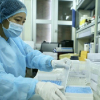 Bộ Y tế cho phép thêm Bệnh viện Bạch Mai được xét nghiệm Covid-19