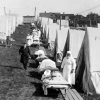 Nắng và gió - bài học từ đại dịch cúm 1918