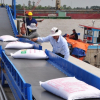 Vụ xuất khẩu 400.000 tấn gạo: Bộ Tài Chính đã có ý kiến như thế nào?