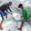 Thủ tướng yêu cầu thanh tra đột xuất về xuất khẩu gạo, làm rõ có hay không dấu hiệu trục lợi