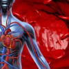 Nghiên cứu mới nhất phát hiện COVID-19 tấn công mạch máu khắp cơ thể