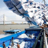 Ủy ban Kinh tế Quốc hội đề nghị truy trách nhiệm trong vụ xuất khẩu gạo