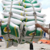 Thanh tra Chính phủ quyết định thanh tra đột xuất công tác xuất khẩu gạo