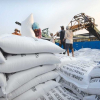 Vụ lùm xùm xuất khẩu gạo: Tờ khai của 22 doanh nghiệp không có giá trị