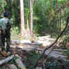 Truy quét lâm tặc phá rừng ở khu bảo tồn thiên nhiên Ea Sô