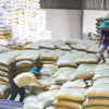 Doanh nghiệp từng “xù” hợp đồng lại trúng thầu cung cấp gạo dự trữ