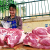 Thủ tục nhập khẩu lợn sống quá “lề mề”, nguy cơ không còn lợn để nhập