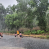 Hà Tĩnh: Người dân hân hoan đón “mưa vàng” giải nhiệt khốc liệt