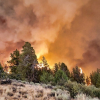 Bão lửa lại hoành hành tại các bang miền Tây nước Mỹ