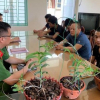 Cơn sốt lan Phi điệp đột biến: Hé lộ mánh khoé tinh vi của nhóm lừa đảo