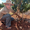 Chính quyền ra hỏa tốc đề nghị điều tra vụ kẻ ác chặt 400 cây ăn trái