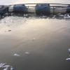 Thủy điện Hòa Bình xả lũ, hơn 40 tấn cá nuôi lồng ở Phú Thọ bị chết