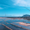 Báo quốc tế đưa tin Tổ hợp kinh tế muối và năng lượng tái tạo lớn nhất Việt Nam