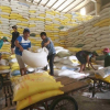 Giá gạo xuất khẩu Việt Nam cao nhất 9 năm do khan hiếm container