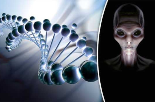 Con người có thể còn sở hữa DNA người ngoài hành tinh?