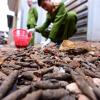 Hơn 3 tấn đầu đạn được thu gom sau vụ nổ kinh hoàng ở Bắc Ninh