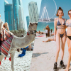 Ngọc Trinh diện bikini dạo biển Dubai