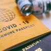 Những nước đã công nhận hộ chiếu vaccine Covid-19 của Việt Nam