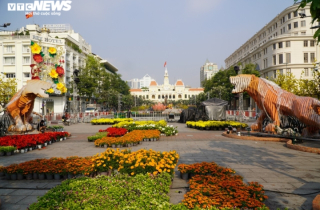 Ảnh: Ngắm linh vật hổ tại đường hoa Nguyễn Huệ