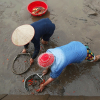 Video: Làng cá chép tất bật phục vụ Tết ông Công ông Táo