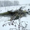 Máy bay Nga bị nghi va chạm với trực thăng trước khi rơi