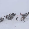 Số người chết trong hai vụ lở tuyết liên tiếp ở Thổ Nhĩ Kỳ tăng lên 38