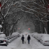 Miền đông nước Mỹ chìm trong bão tuyết